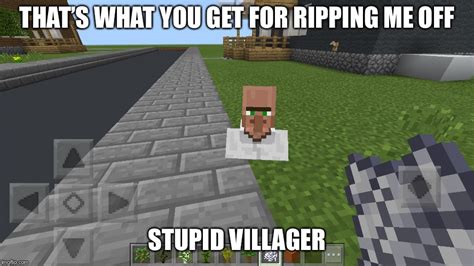 stupid villager